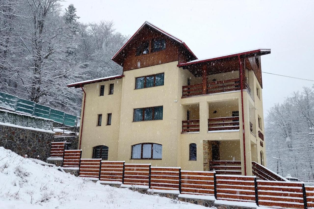 Casa Raisa Ξενοδοχείο Buşteni Εξωτερικό φωτογραφία